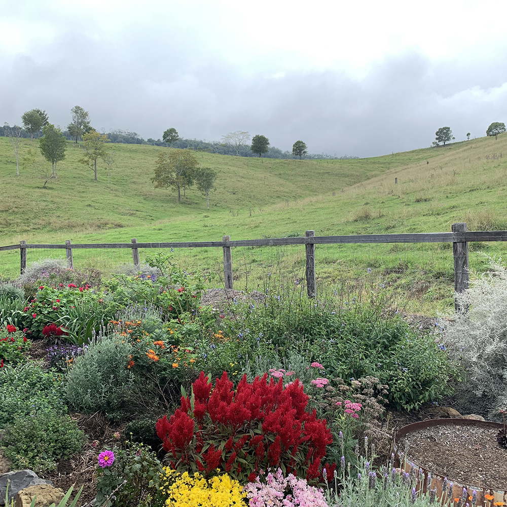 Country Mile Escape Story, view from cabin of green hills and flowers