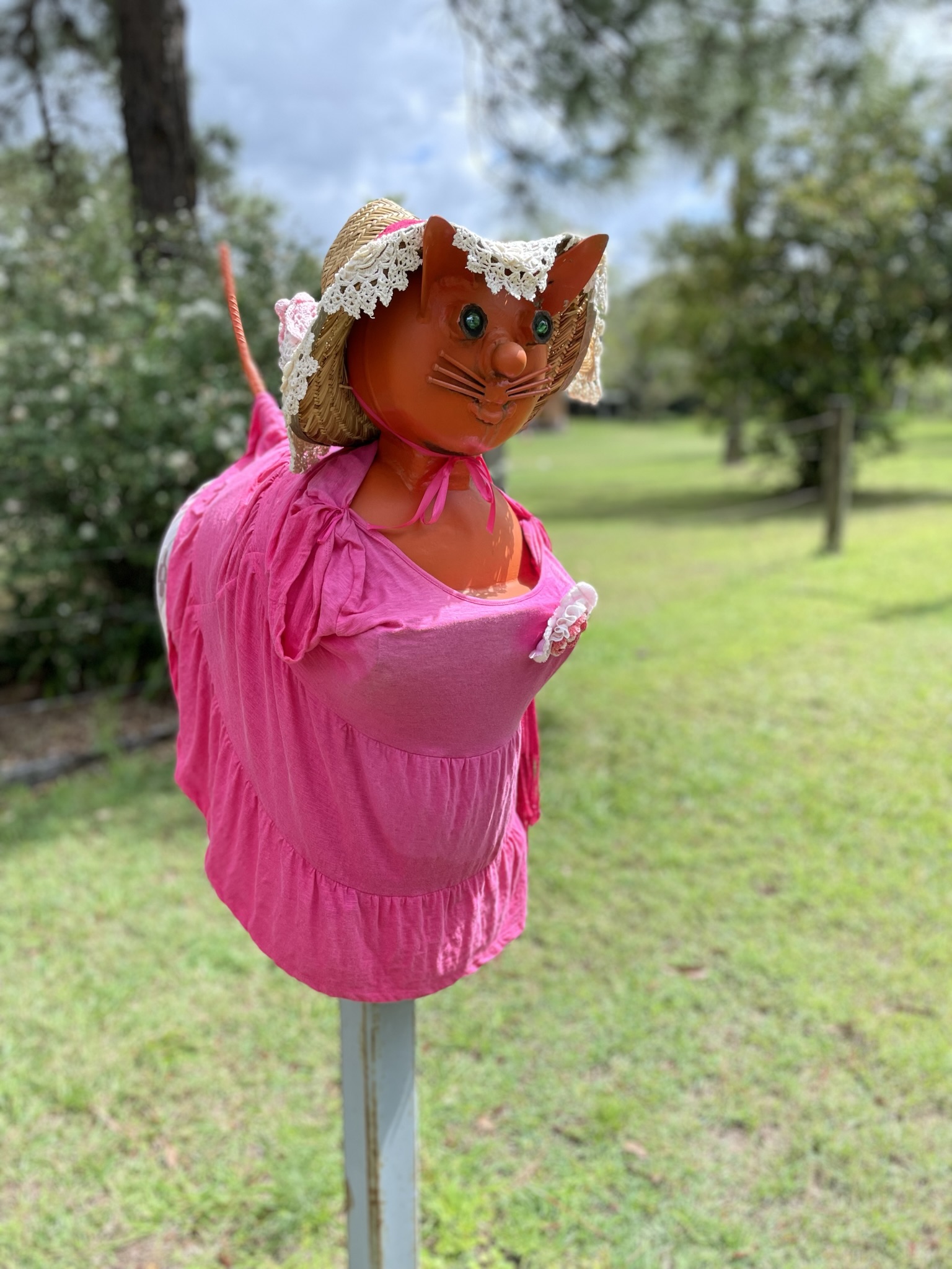 Example of Turning Canungra Pink. A pink letterbox cat