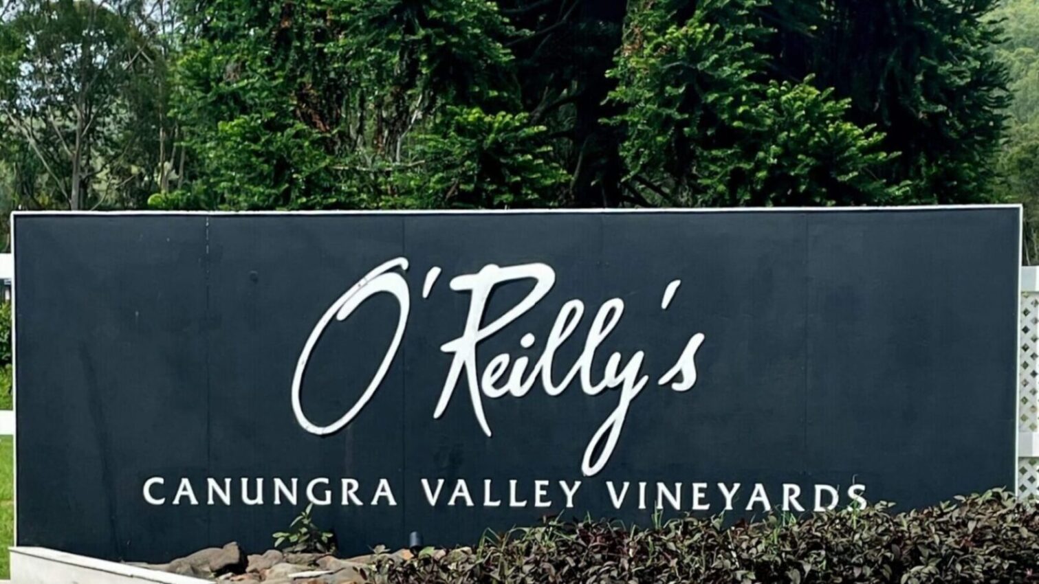 O'Reillys Canungra Valley Vineyard entrance sign with a background of trees and shrubs in the foreground.