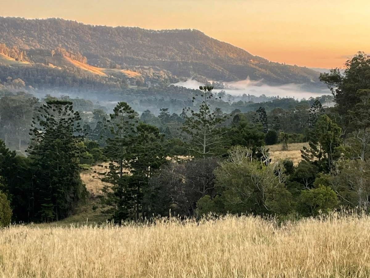 Panoramic view of Flying Fox Valley, with low lying fog hugging the mountains.