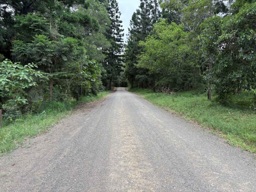 A quiet country dirt road winds its way toward Country Mile Escape, soft under tyre and lined with open paddocks. Dust settles, phone signal fades, and the landscape begins to slow you down before you even arrive. By the time the cottages come into view, the outside world already feels comfortably distant.