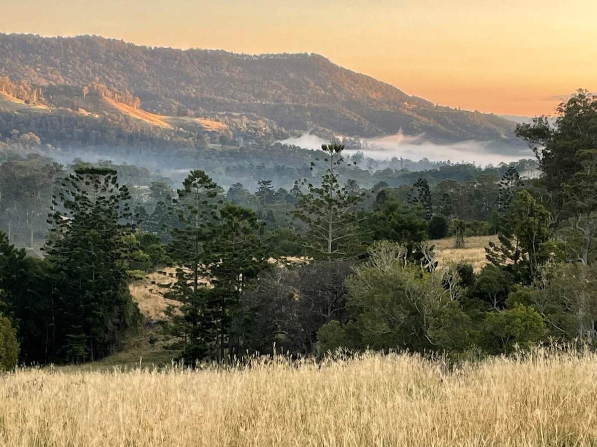 Early morning fog hugging one of the Scenic Rim mountains seen from the property