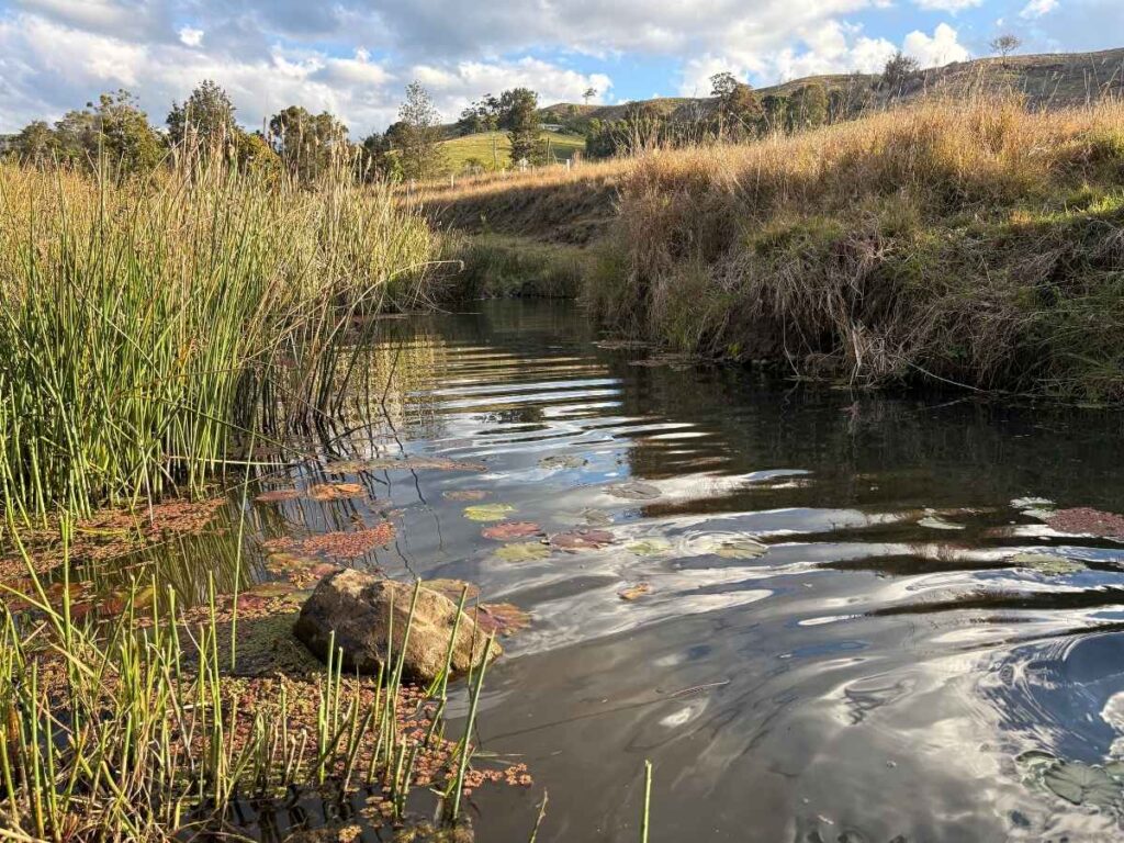 Fresh water creek that flows through Country Mile Escape in Flying Fox Valley